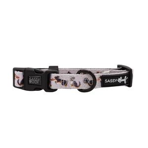 COPY - Sassy Woof “Too Much Auss” Dog Collar
